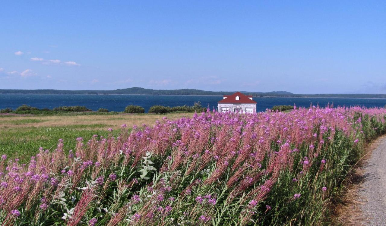 West Quoddy Station Llc Hotel Lubec Exterior foto